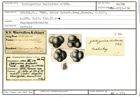 Karteikarte zum Abbildungsoriginal von Globigerina bulloides d'Orbigny, 1826